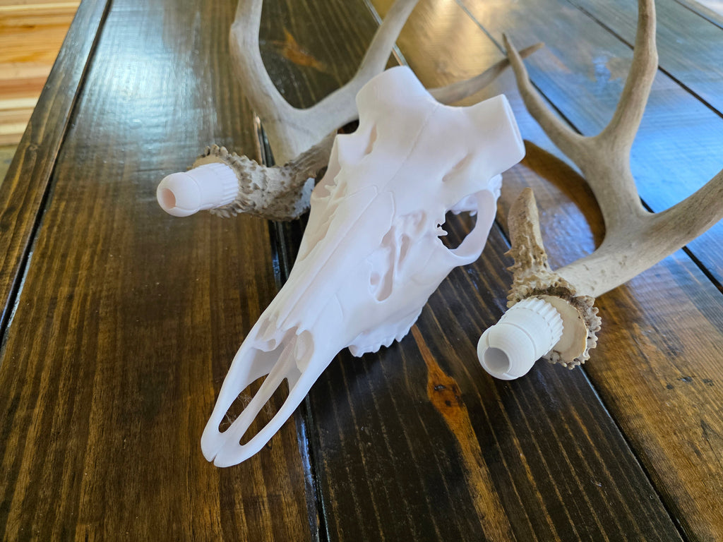 Classic European Whitetail Mount System