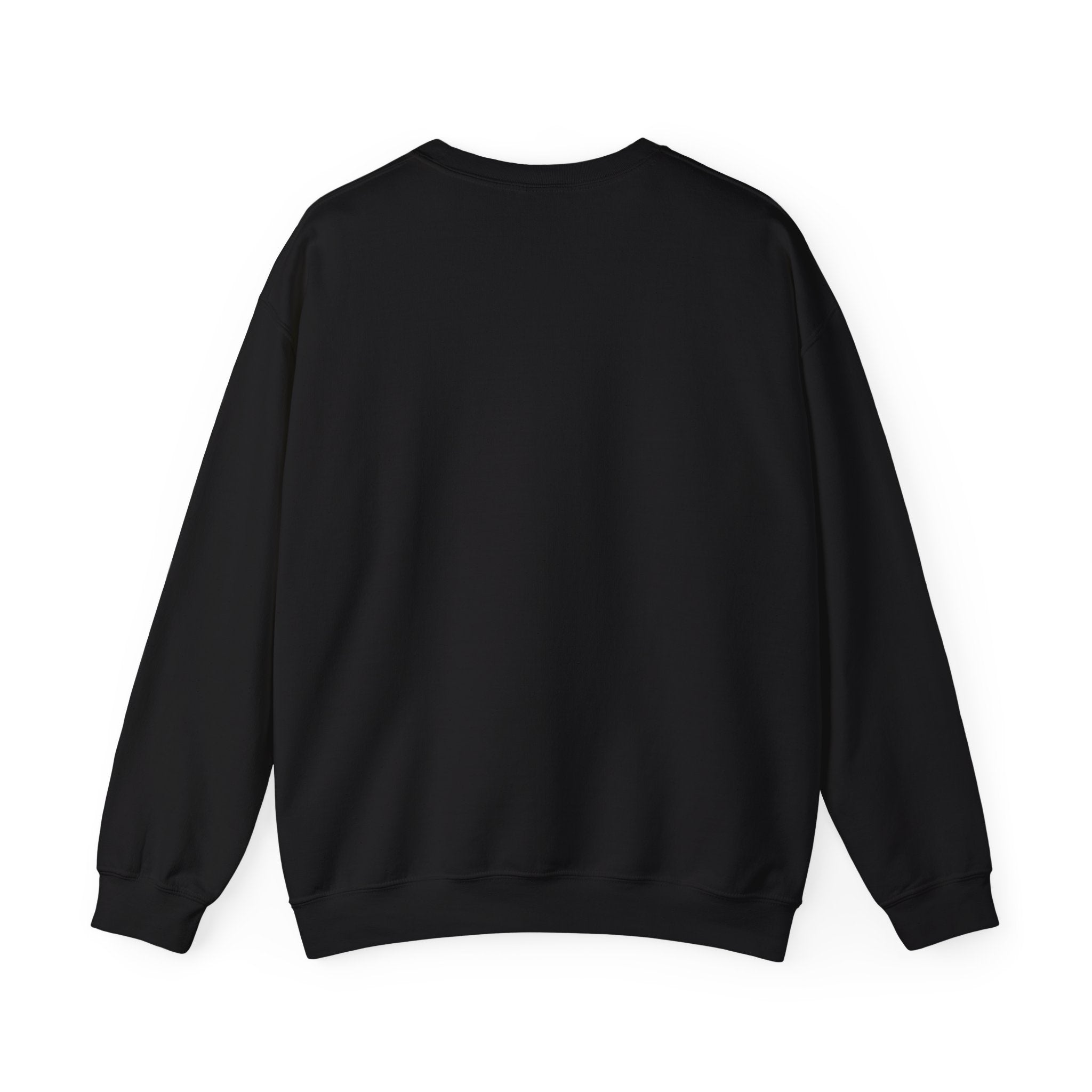 funny trmp sweater st patricks day gag gift