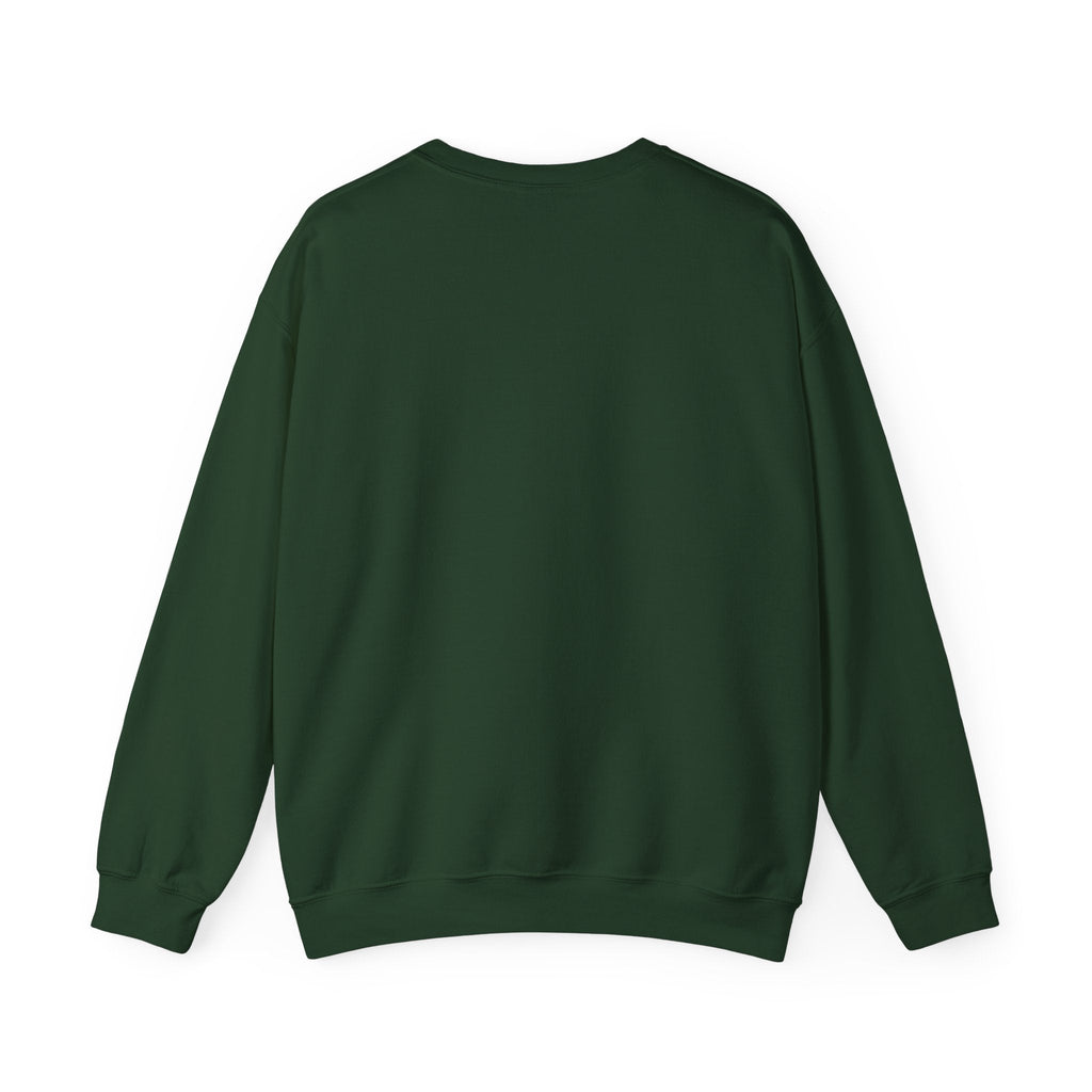 St paddys day sweater funny gag gift