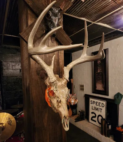 Skull Mount Wall Bracket