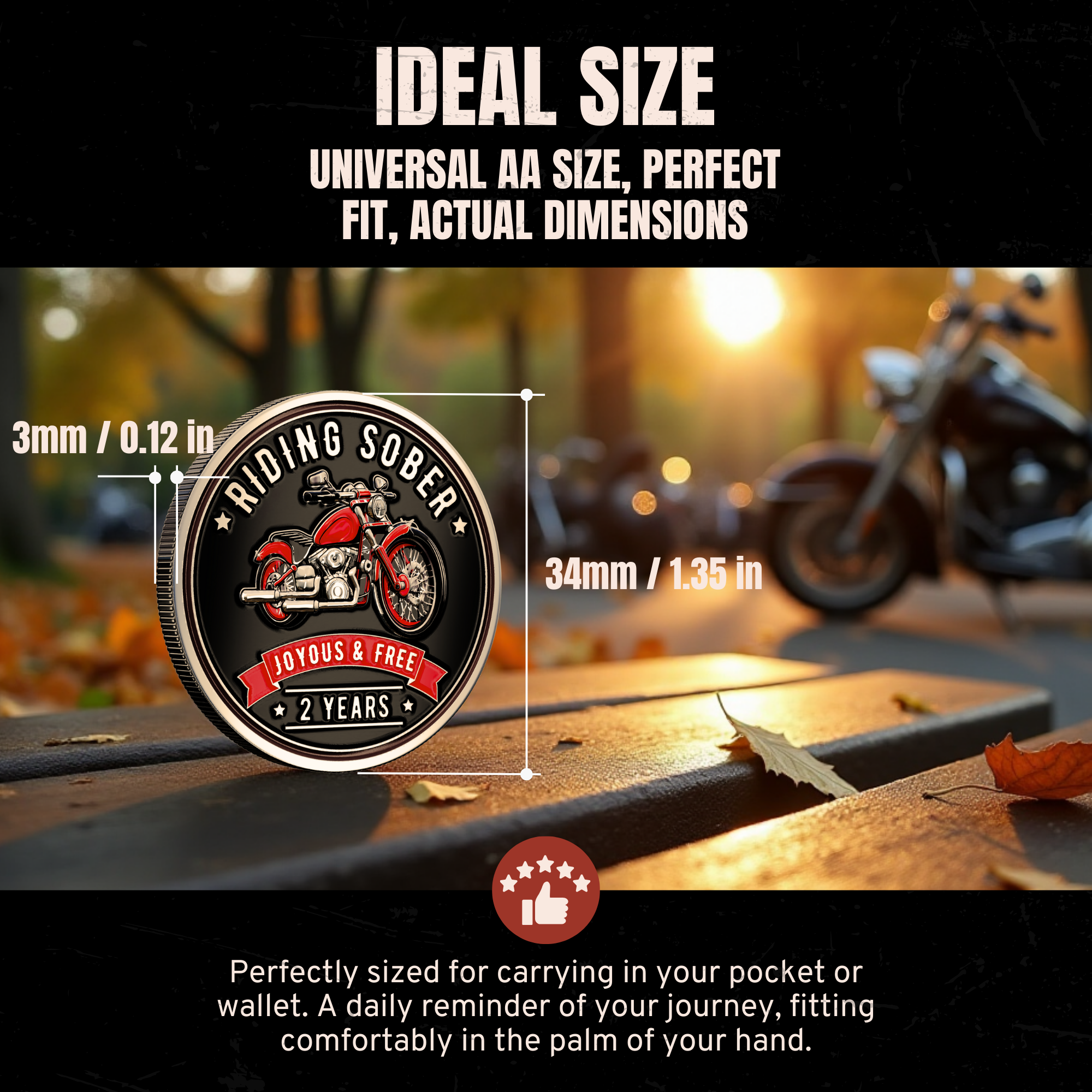 Riding Sober Recovery Affirmation Coin