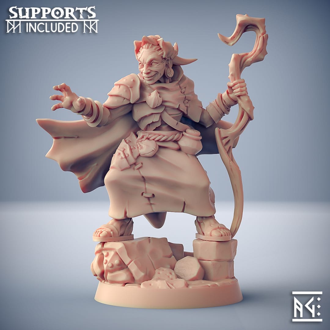 3D Printed Artisan Guild Nanaari the Wise Woman Scourgeland Survivors 28mm 32mm