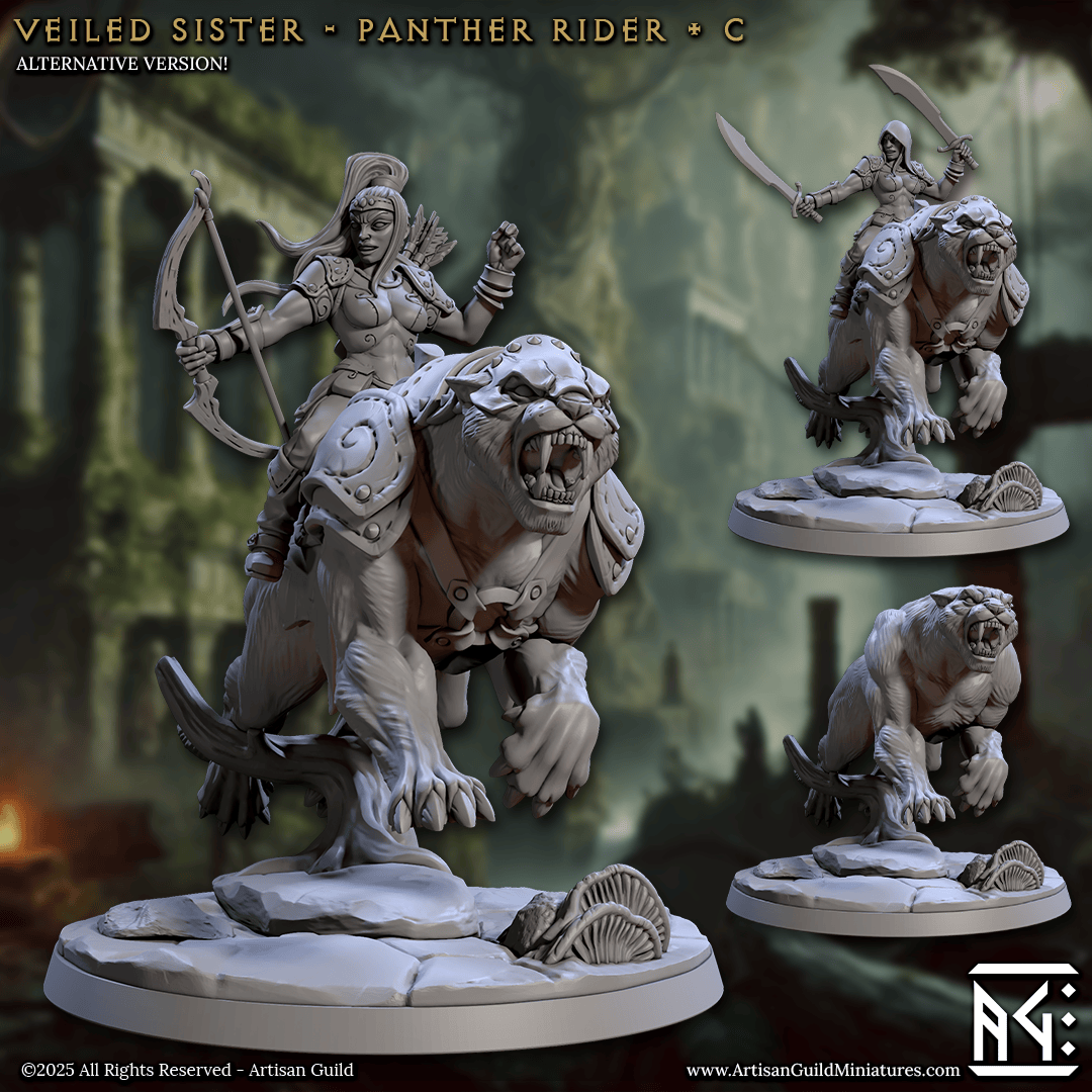 3D Printed Artisan Guild Panther Riders Veiled Sisterhood Set 28mm 32mm