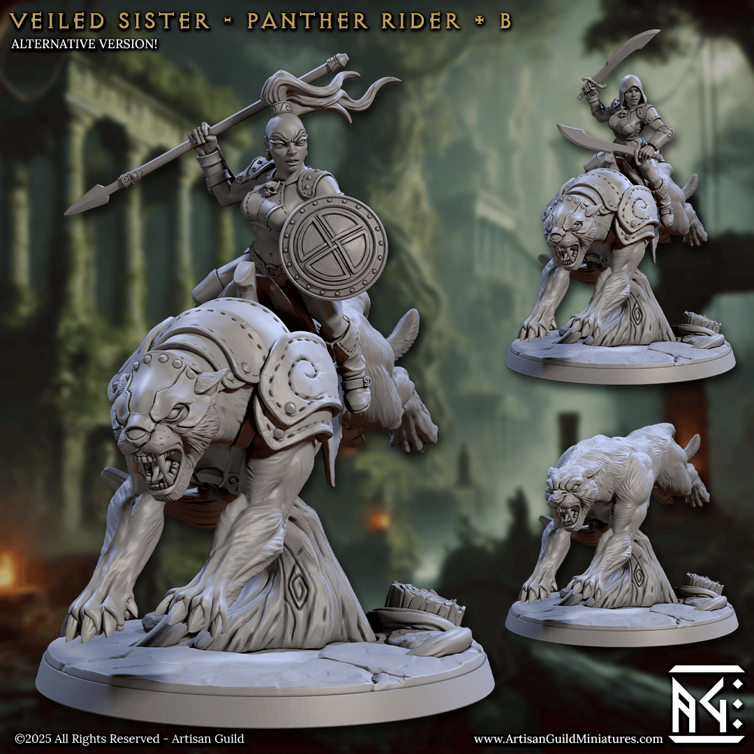 3D Printed Artisan Guild Panther Riders Veiled Sisterhood Set 28mm 32mm