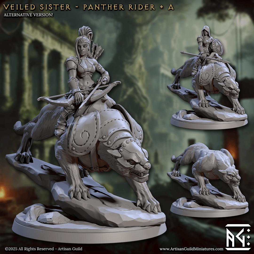 3D Printed Artisan Guild Panther Riders Veiled Sisterhood Set 28mm 32mm