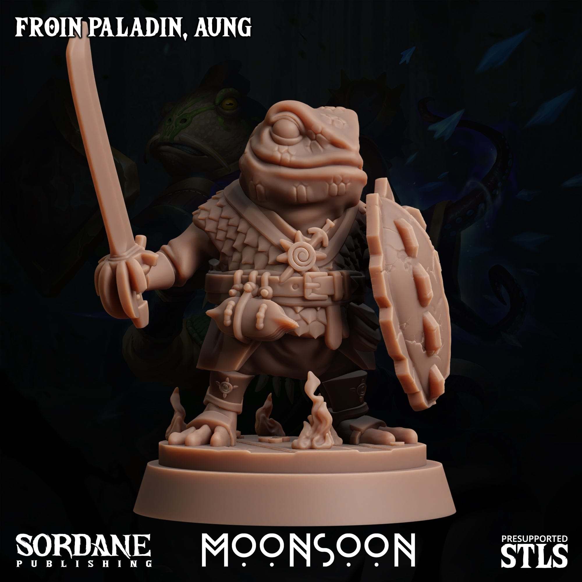 3D Printed Sordane Publishing Froin Paladin Aung Moonsoon 28 32mm D&D