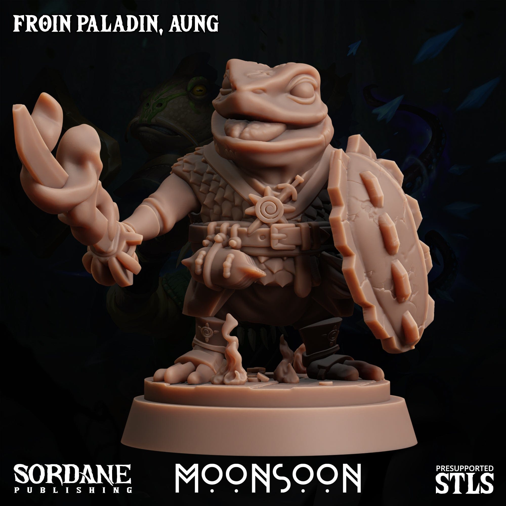 3D Printed Sordane Publishing Froin Paladin Aung Moonsoon 28 32mm D&D