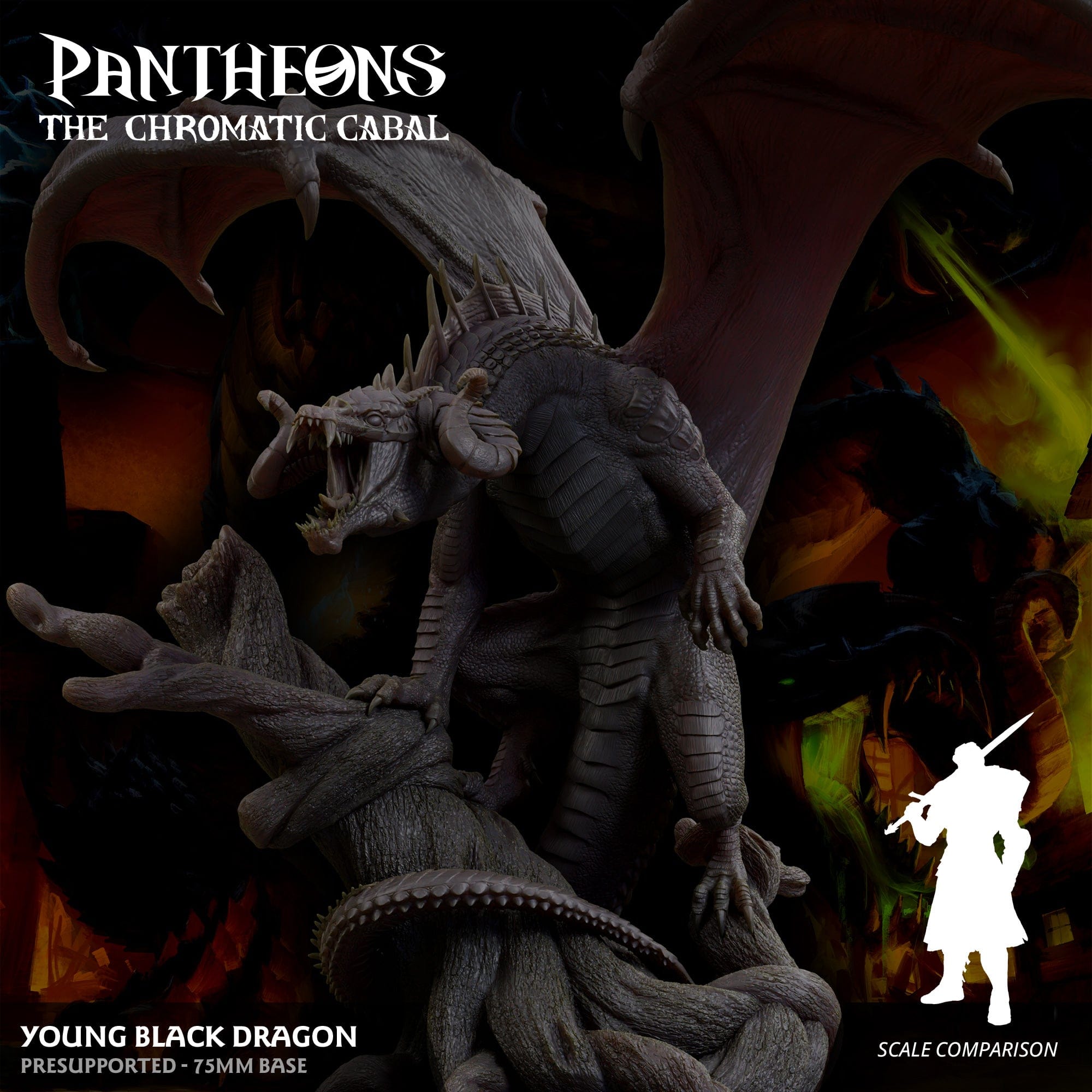 3D Printed Sordane Publishing Young Black Dragon Pantheons The Chromatic Cabal 28 32mm D&D