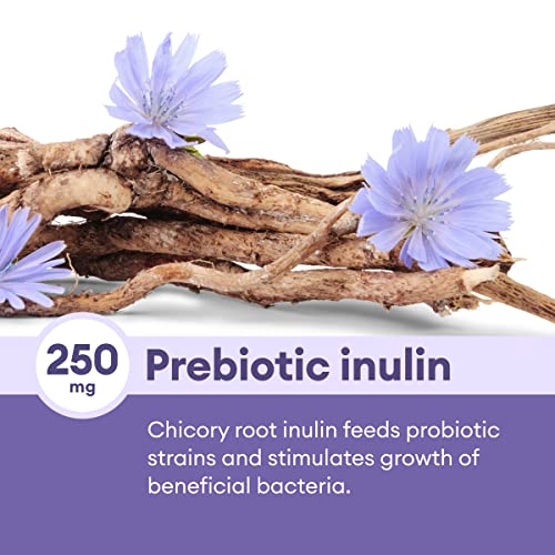 Physician's CHOICE Probiotics 60 Billion CFU - 10 Diverse Strains + Organic Prebiotic - Digestive & Gut Health - Supports Occasional Constipation, Diarrhea, Gas & Bloating - Probiotics For Women & Men