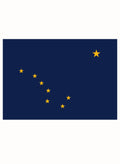 Alaska State Flag Kids T-Shirt