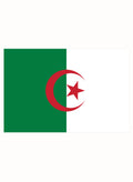 Algeria Flag Kids T-Shirt