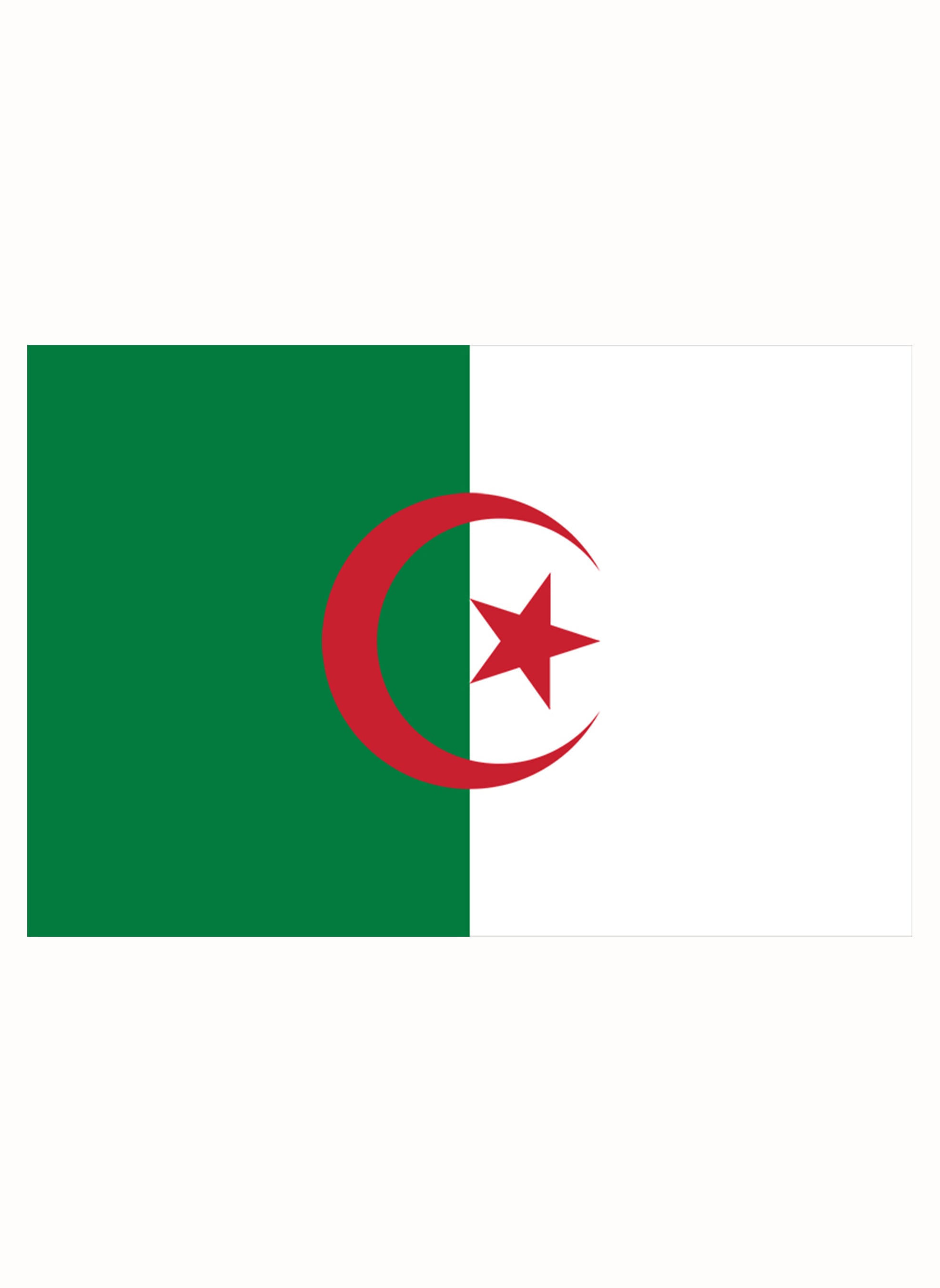 Algeria Flag Kids T-Shirt
