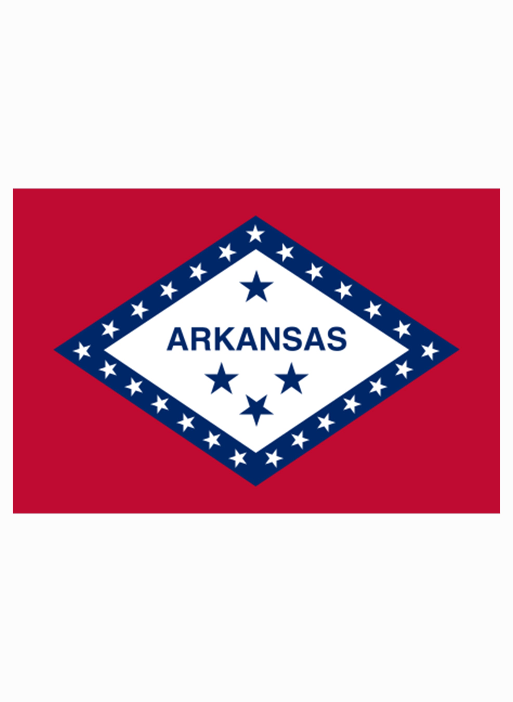Arkansas State Flag Kids T-Shirt