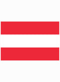 Austrian Flag Kids T-Shirt