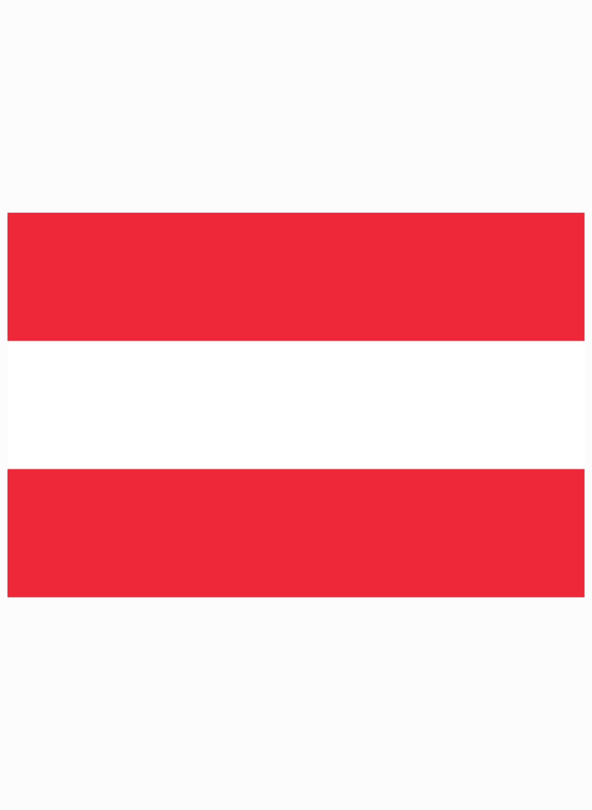 Austrian Flag Kids T-Shirt