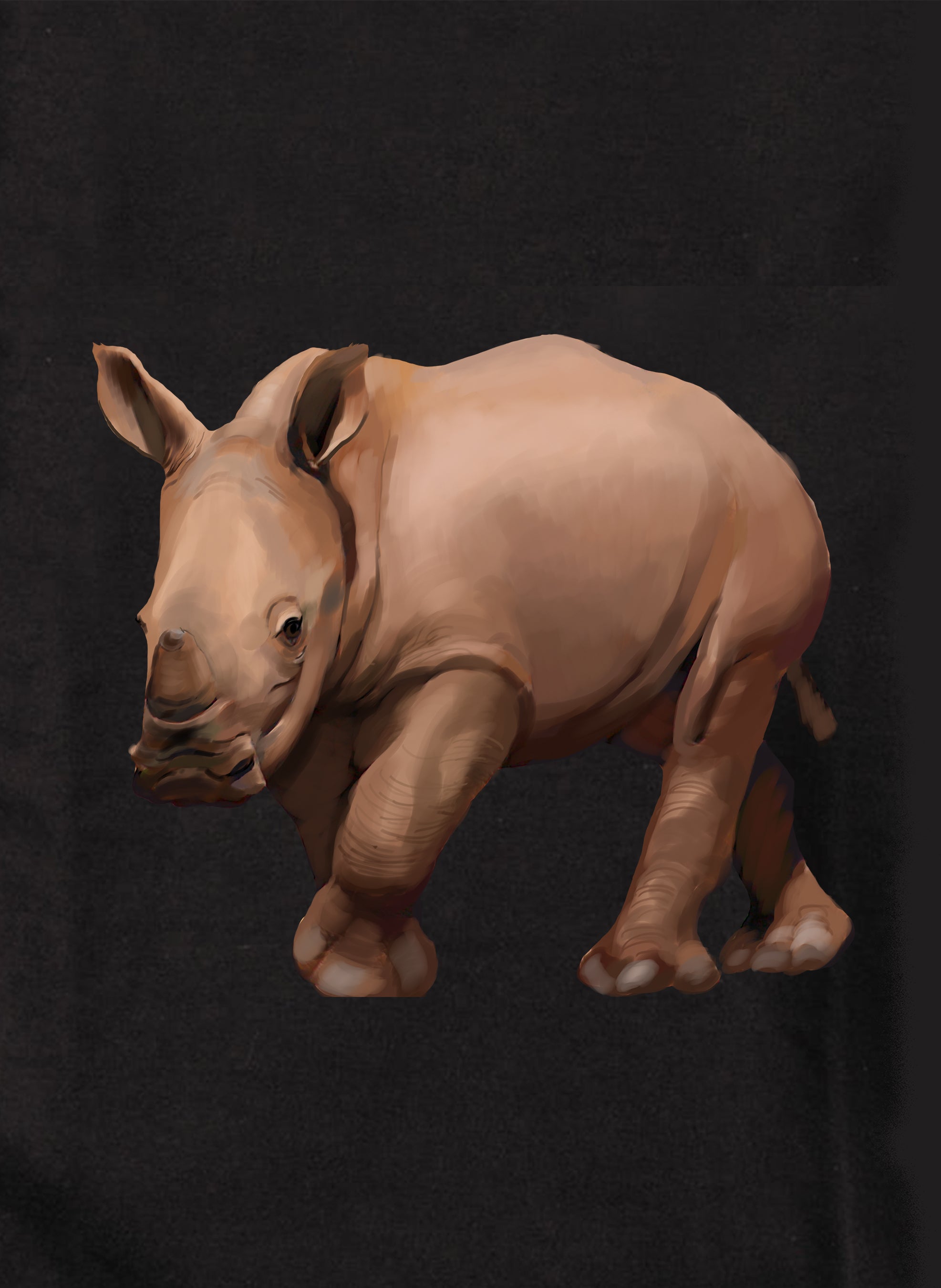 Baby Rhino Kids T-Shirt