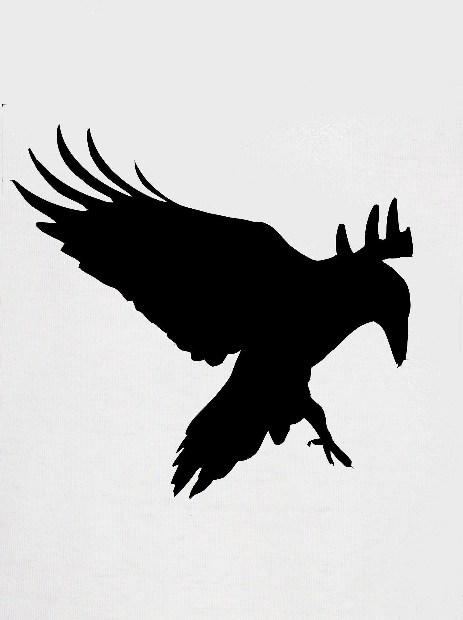 Black Raven Kids T-Shirt