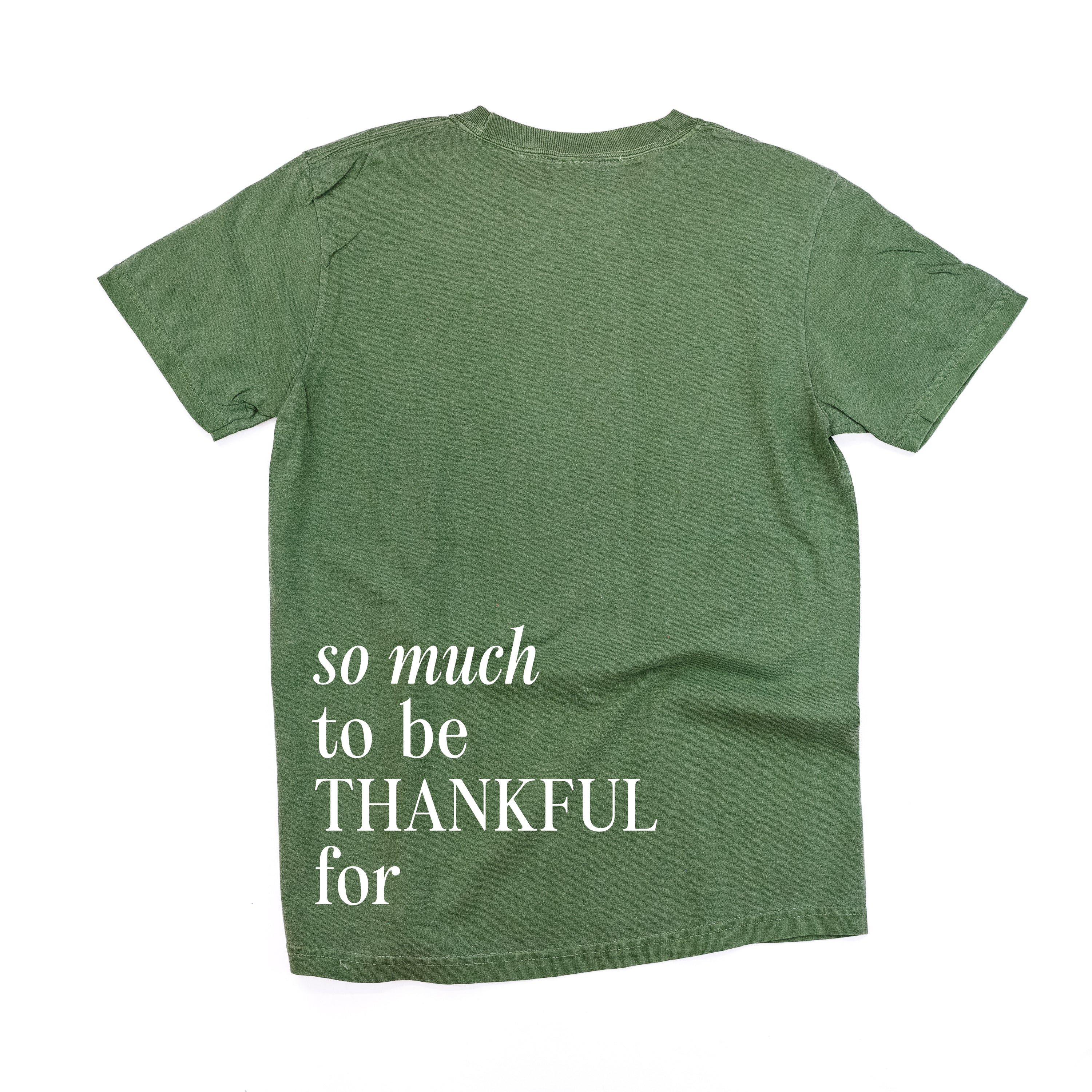 Embroidered/Printed Comfort Colors Tee - Tone on Tone - Thankful/So Much To be Thankful For (center&b)