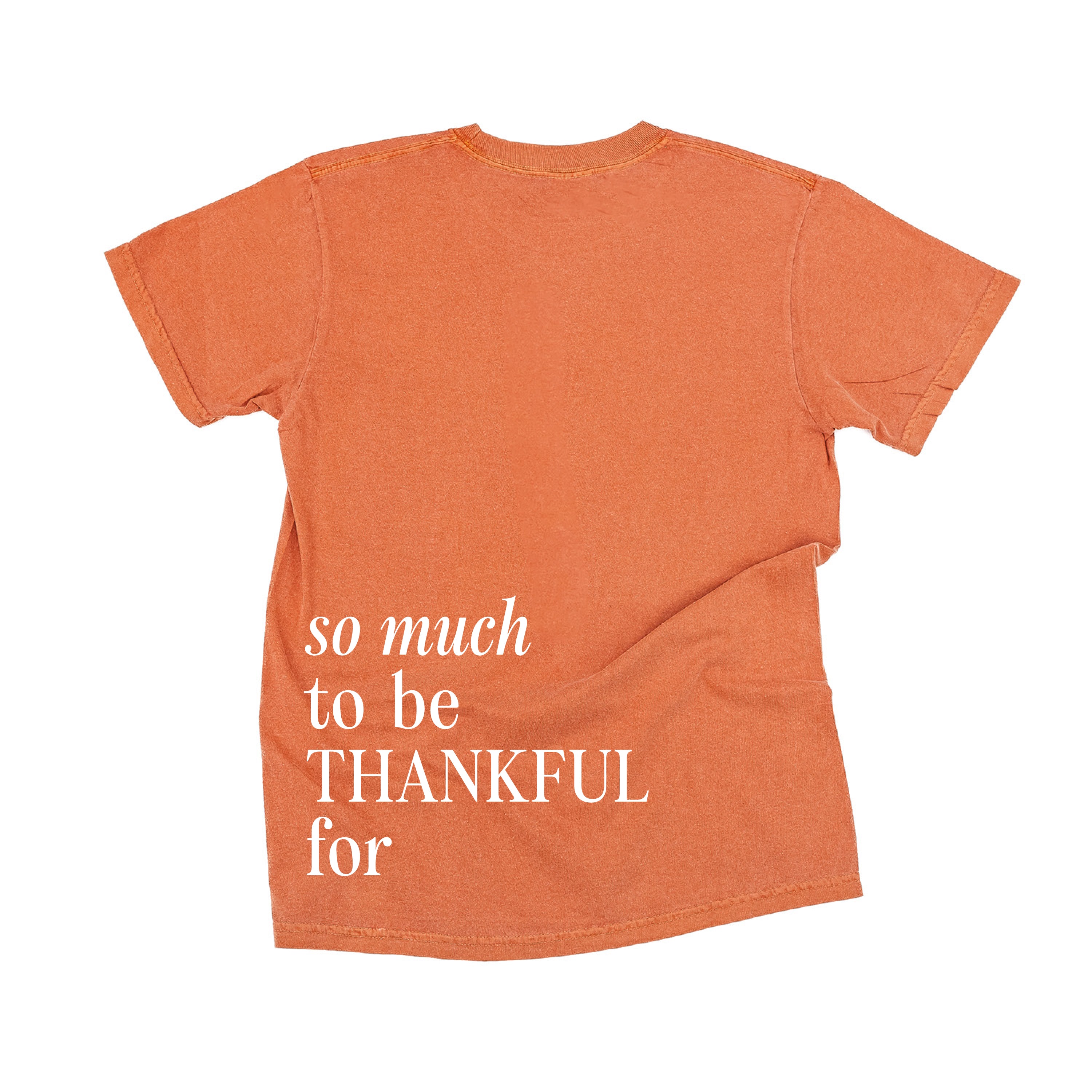 Embroidered/Printed Comfort Colors Tee - Tone on Tone - Thankful/So Much To be Thankful For (center&b)