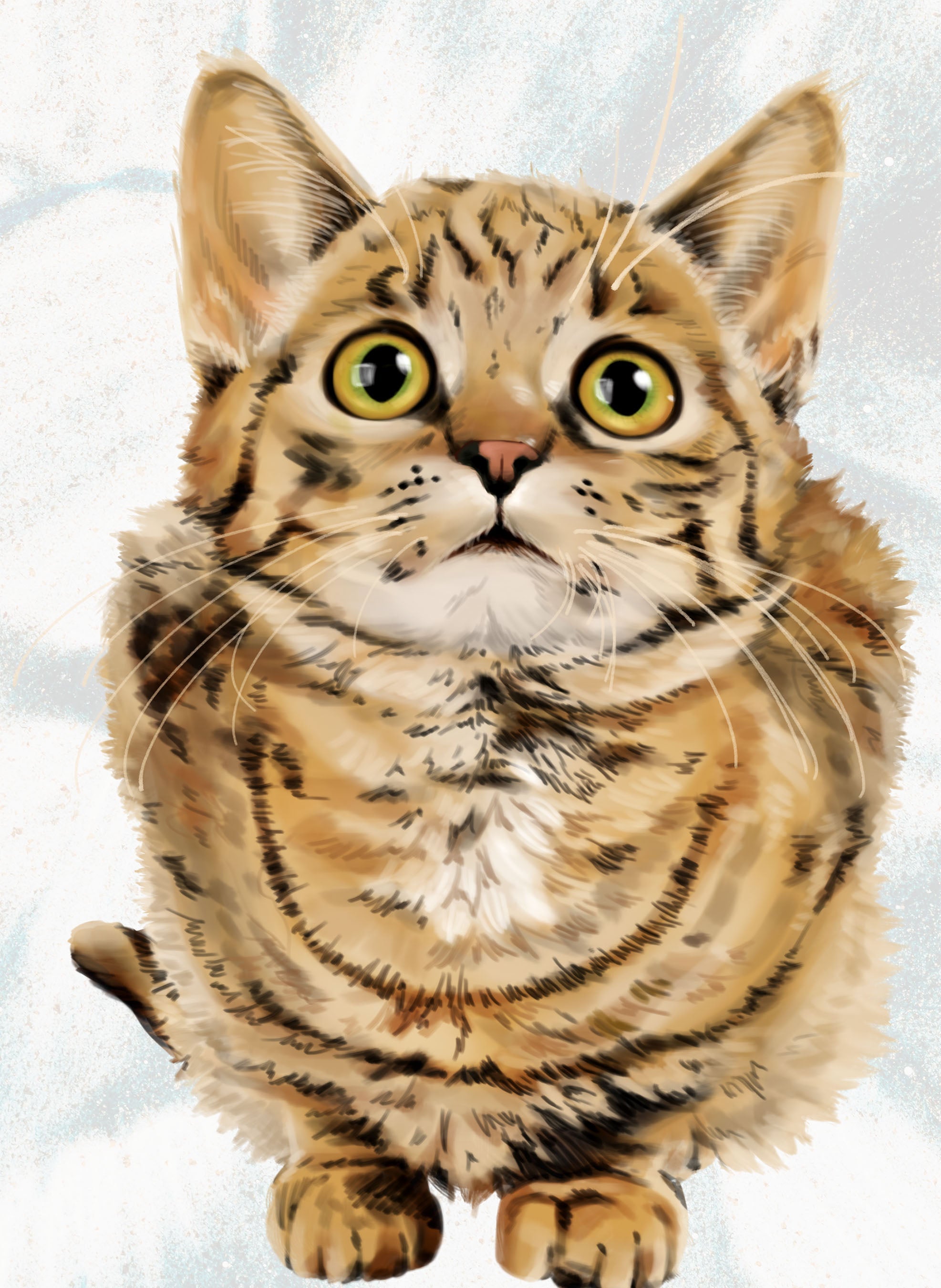 Cat Look Up T-Shirt