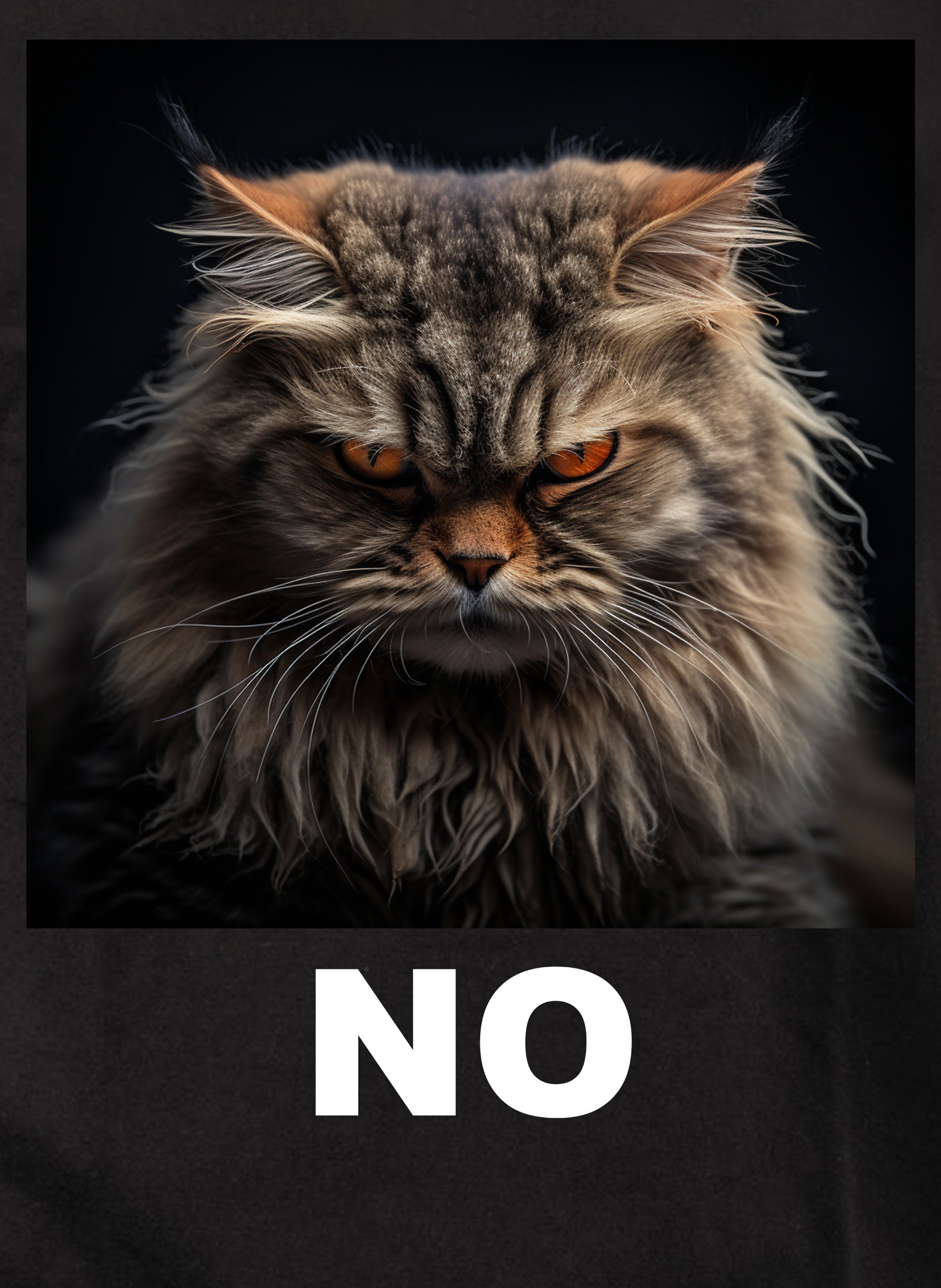 Cat NO Kids T-Shirt