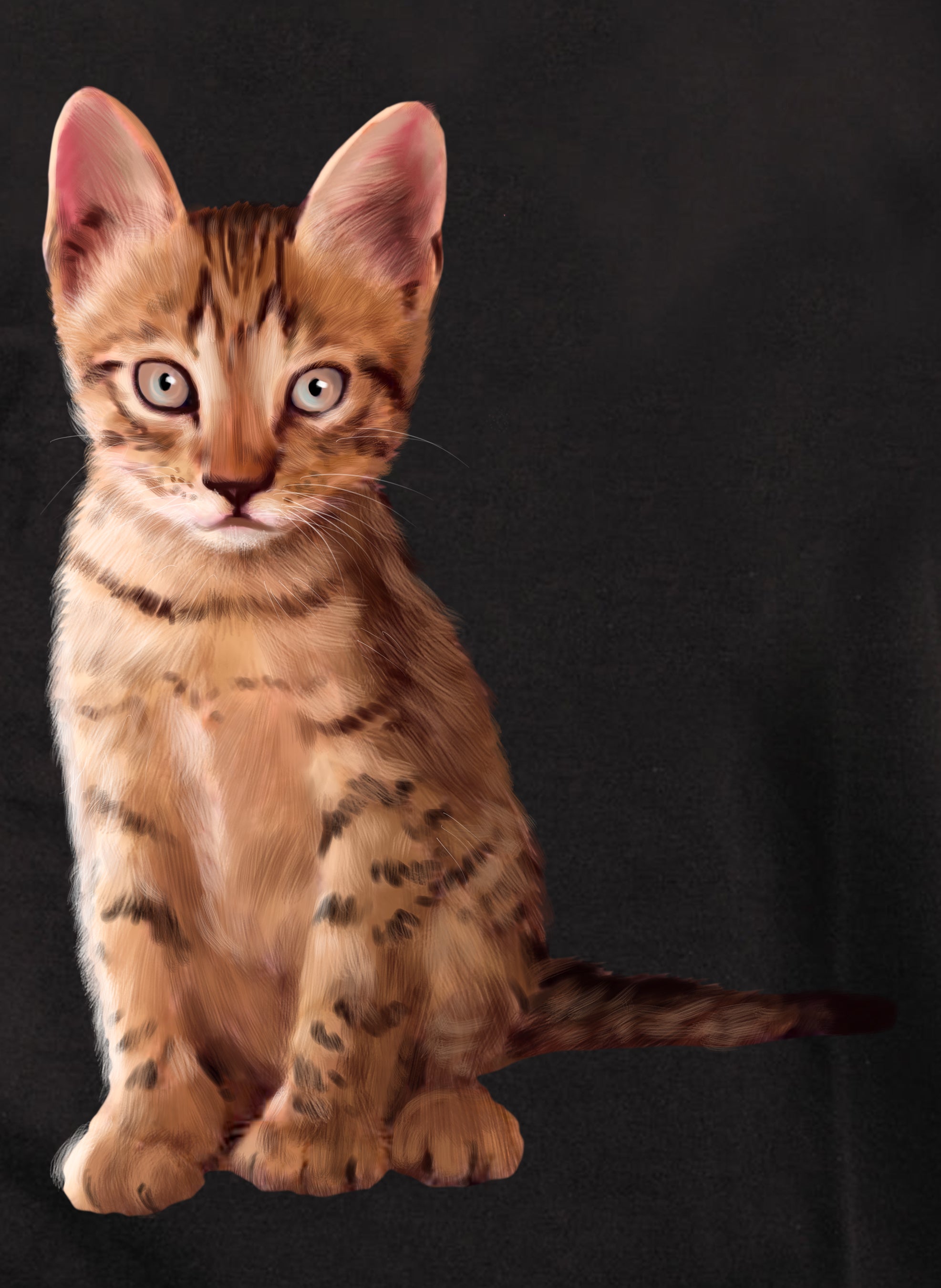 Cat Pose T-Shirt