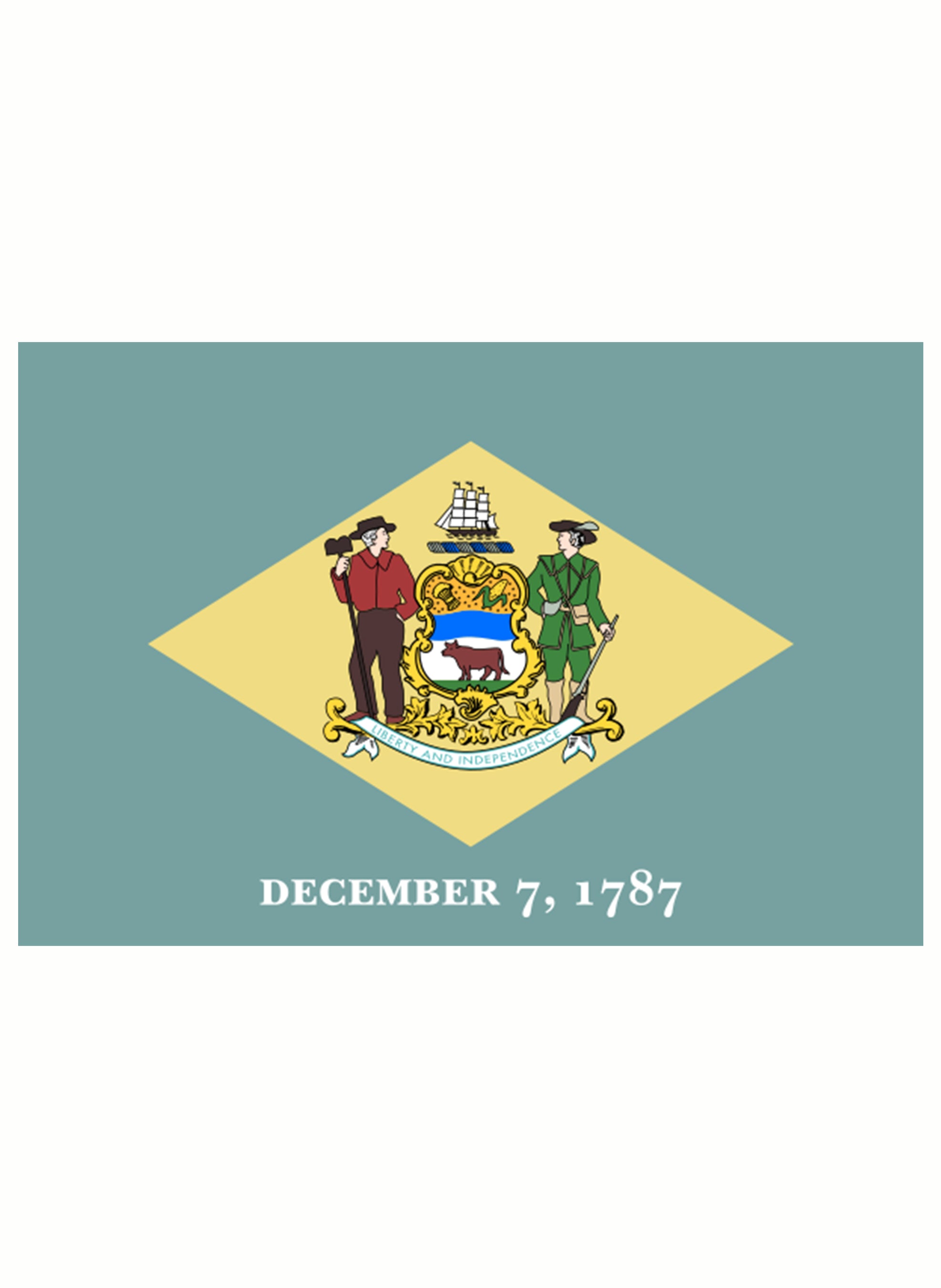Delaware State Flag Kids T-Shirt