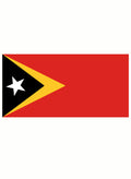 East Timorese Flag Kids T-Shirt