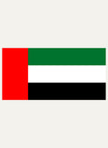 Emirati Flag Kids T-Shirt
