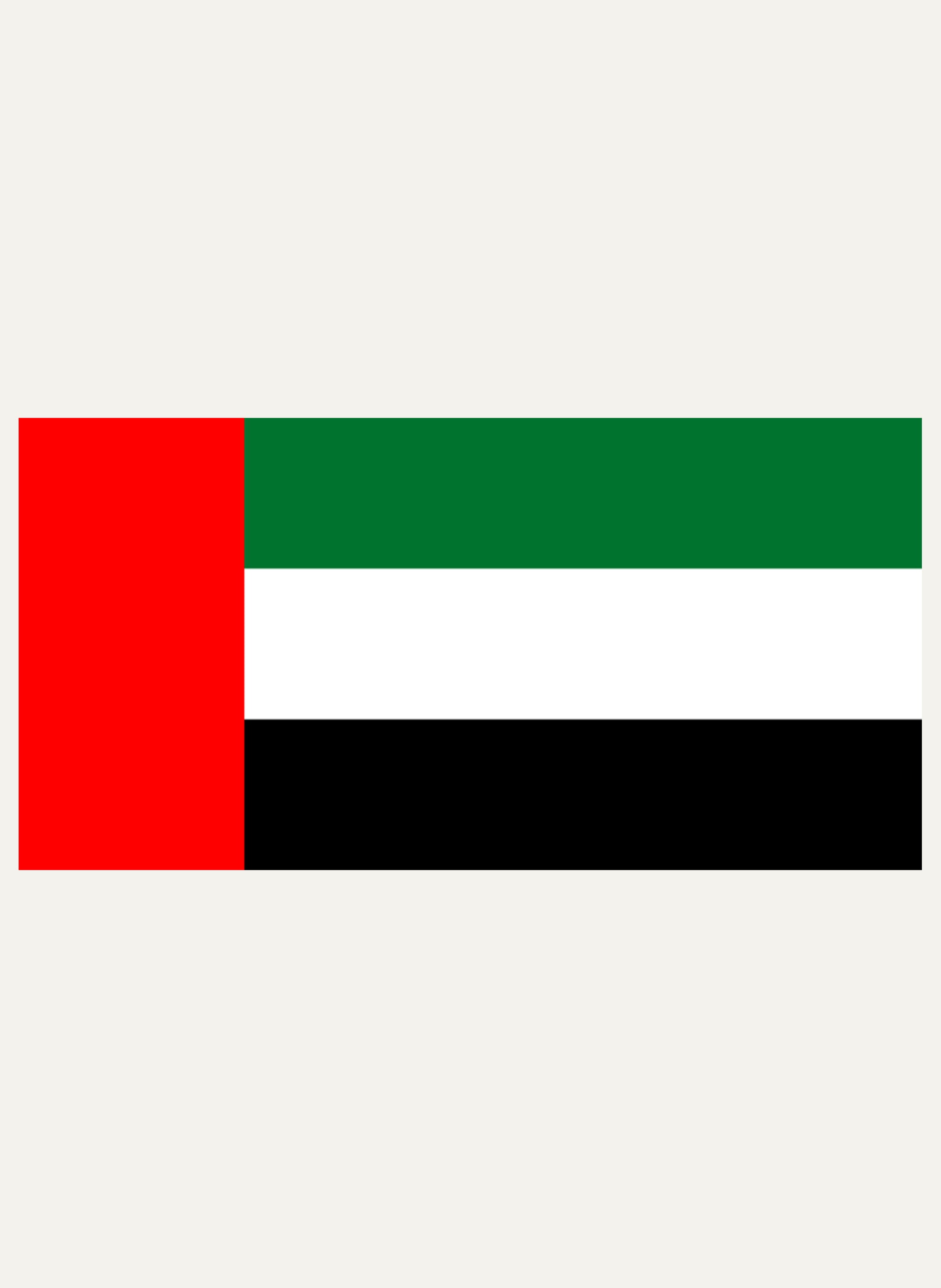 Emirati Flag Kids T-Shirt
