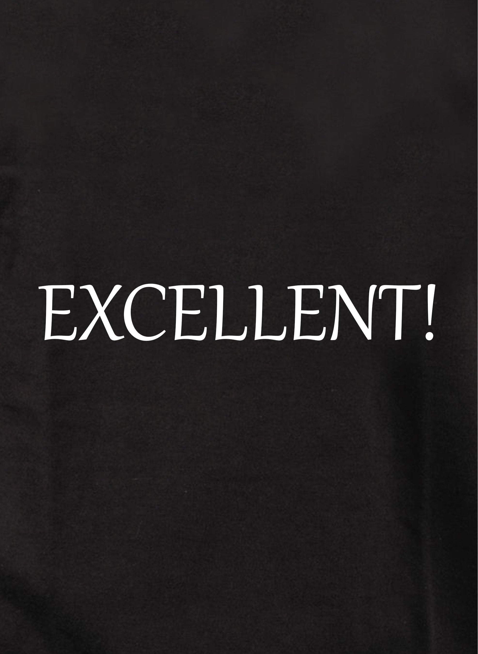 Excellent! Kids T-Shirt