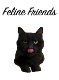 Black Cat T-Shirt