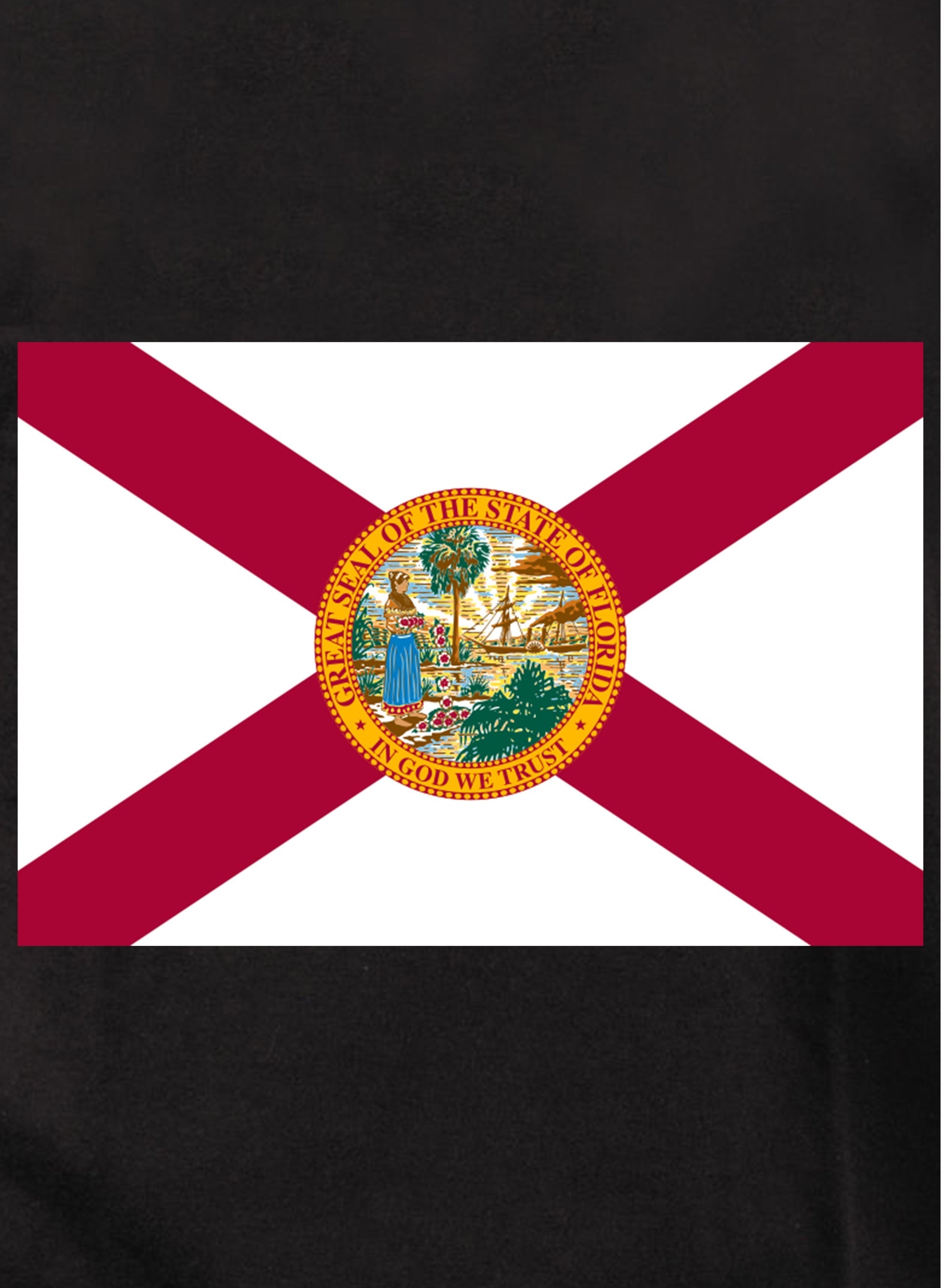 Florida State Flag Kids T-Shirt
