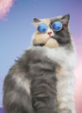 Glasses Cat Kids T-Shirt