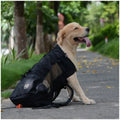 Breathable Dog Carrier Backpack for Travel, Hiking & Motorcycle – Mesh Pet Backpack