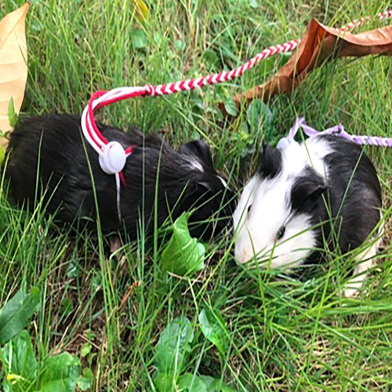 Adjustable Hamster Harness Leash 1.4m (4.6 ft) & 2.0m (6.6 ft) Nylon Rope Lead for Rat Mouse Gerbil