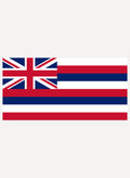 Hawaii State Flag Kids T-Shirt