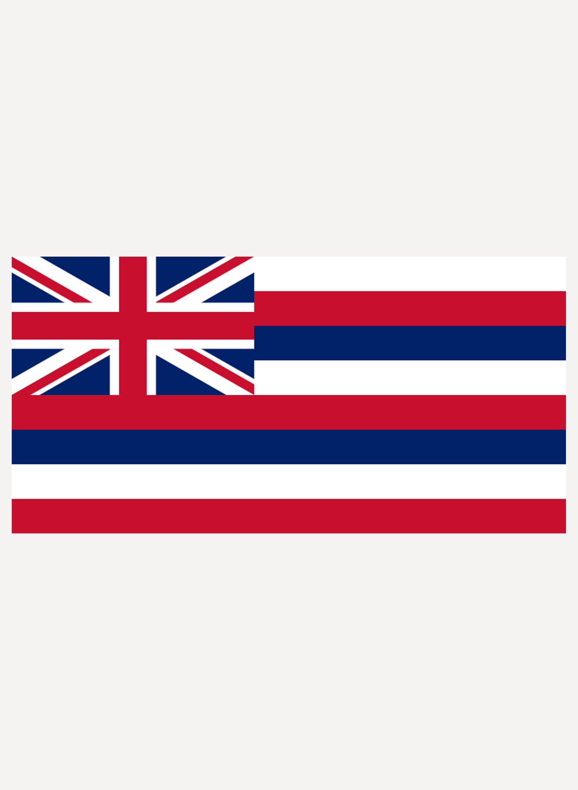 Hawaii State Flag Kids T-Shirt