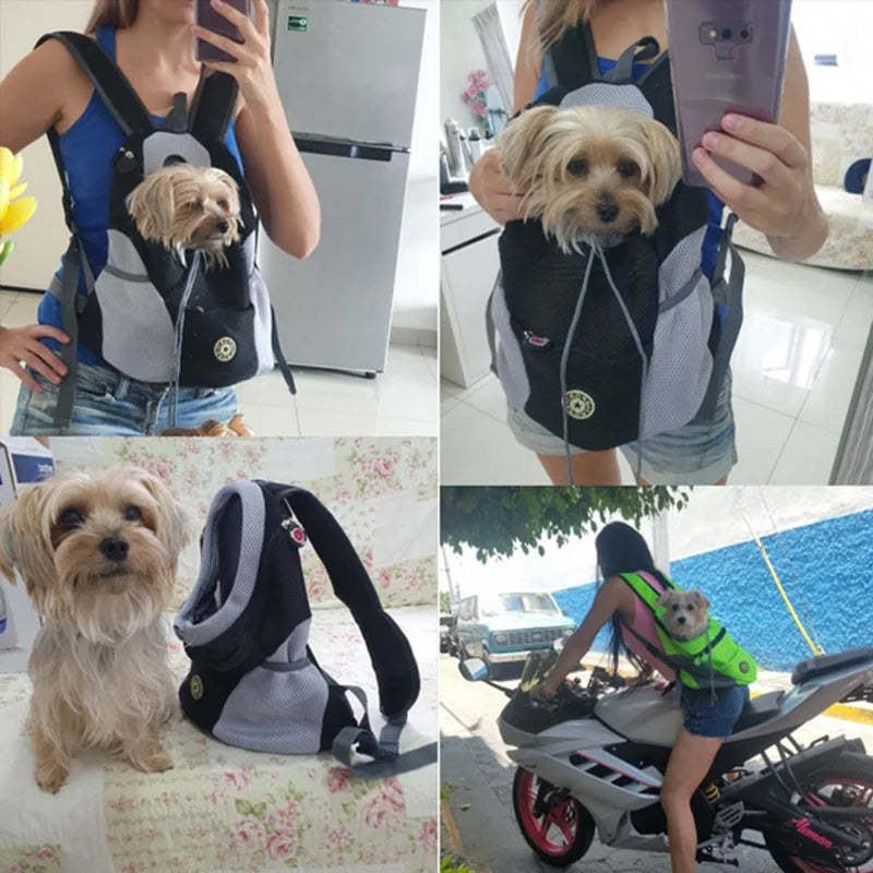 Pet Carrier Backpack for Dogs & Cats — Wearable Front/Back Mesh Travel Bag, Adjustable Double Shoulder, S/M/L (Up to 10 kg / 22 lb)