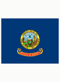 Idaho State Flag Kids T-Shirt