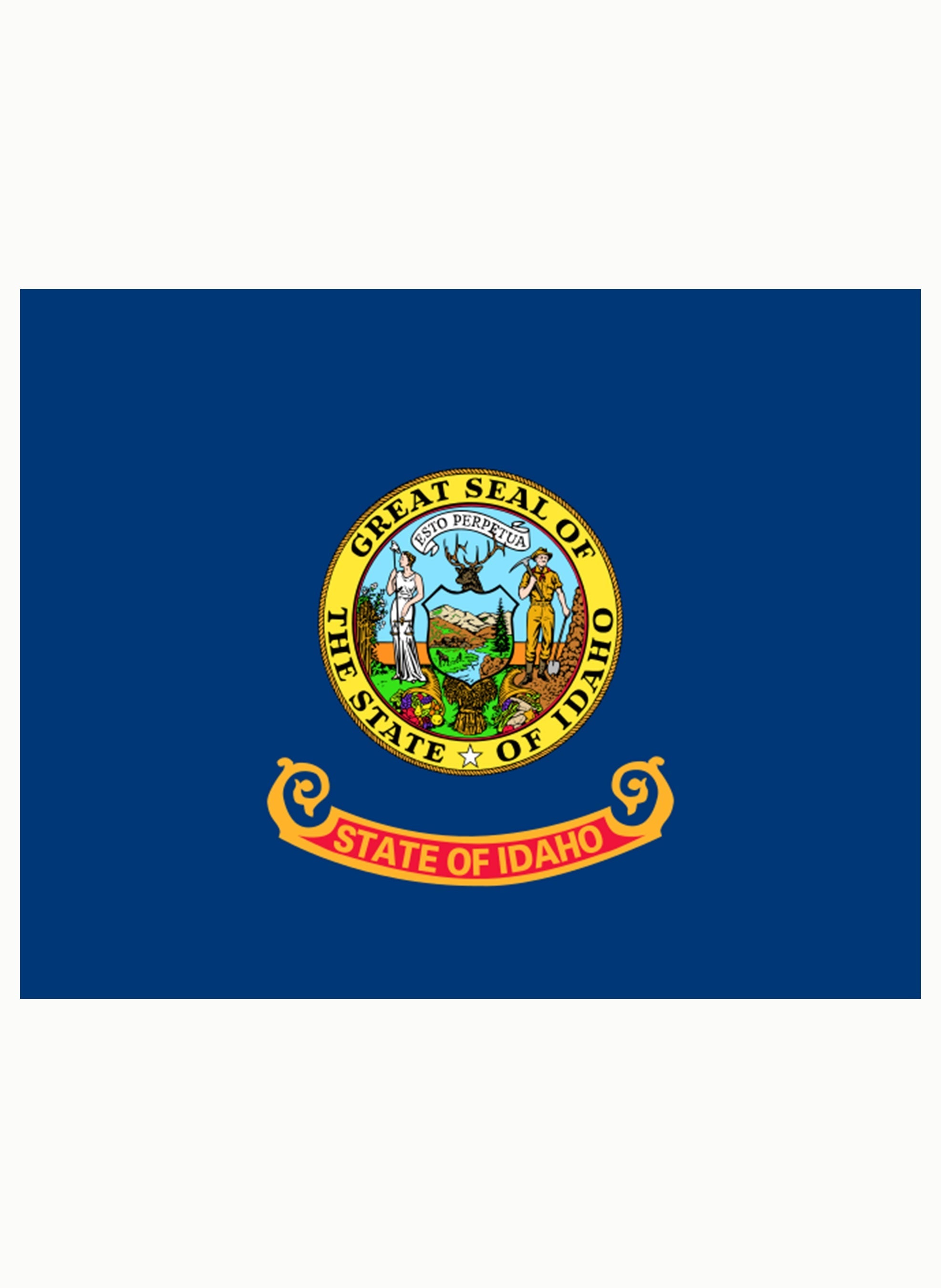 Idaho State Flag Kids T-Shirt
