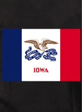 Iowa State Flag Kids T-Shirt