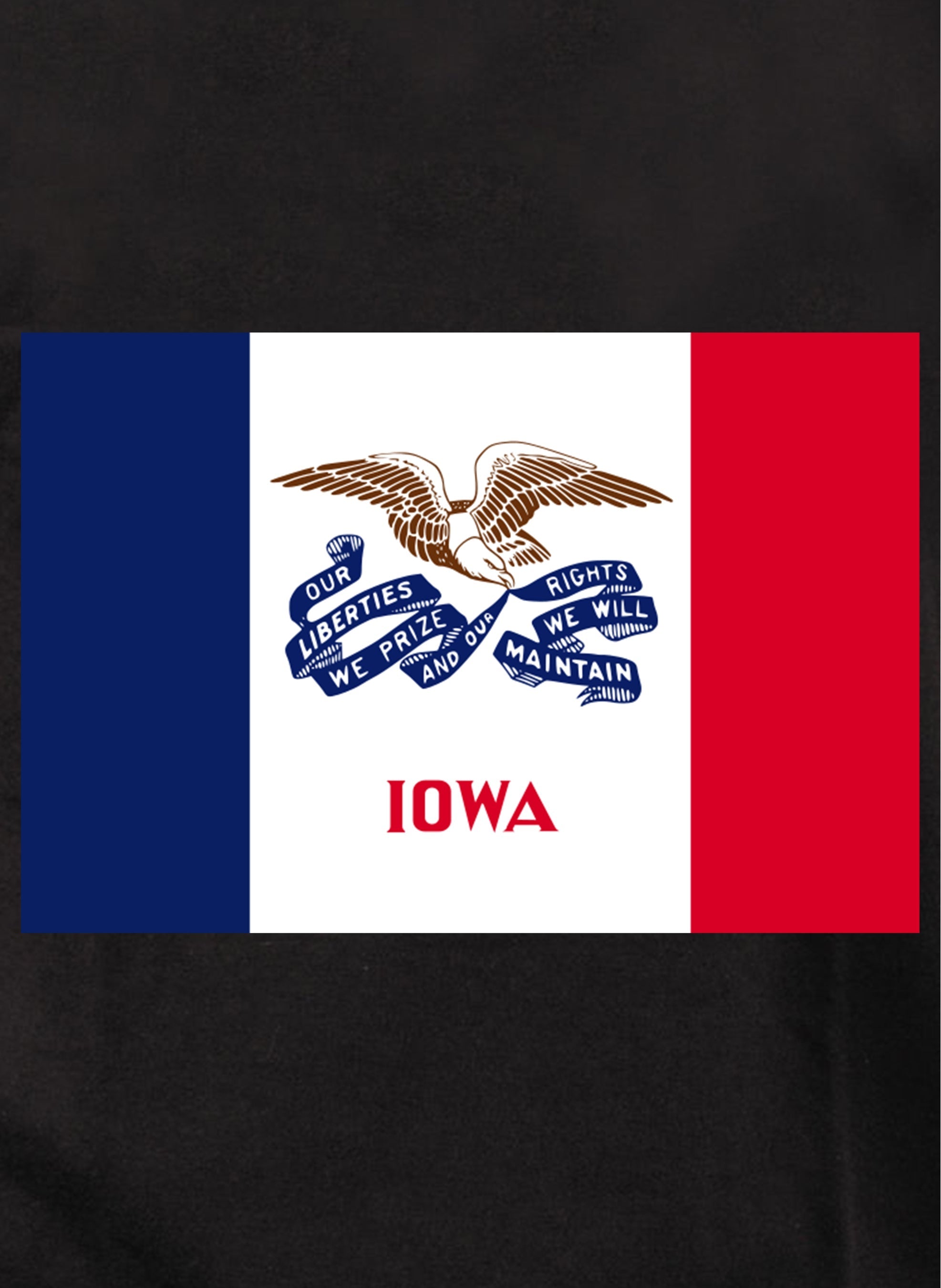 Iowa State Flag Kids T-Shirt