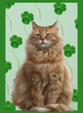 Irish Cat Kids T-Shirt