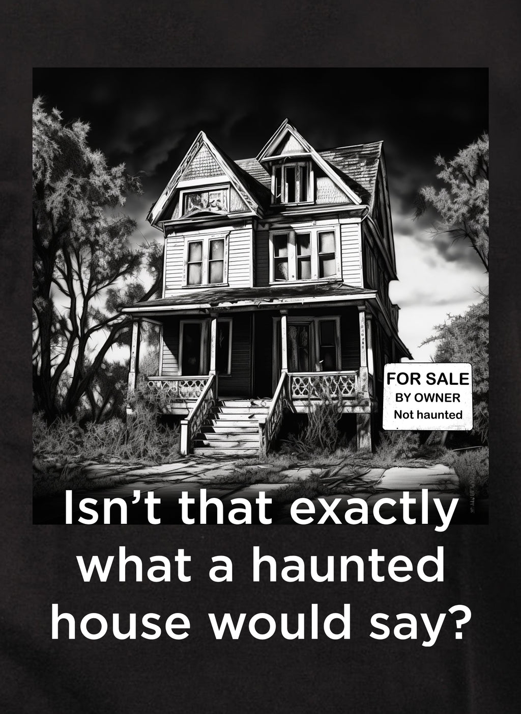 Isn’t that exactly what a haunted house would say? T-Shirt