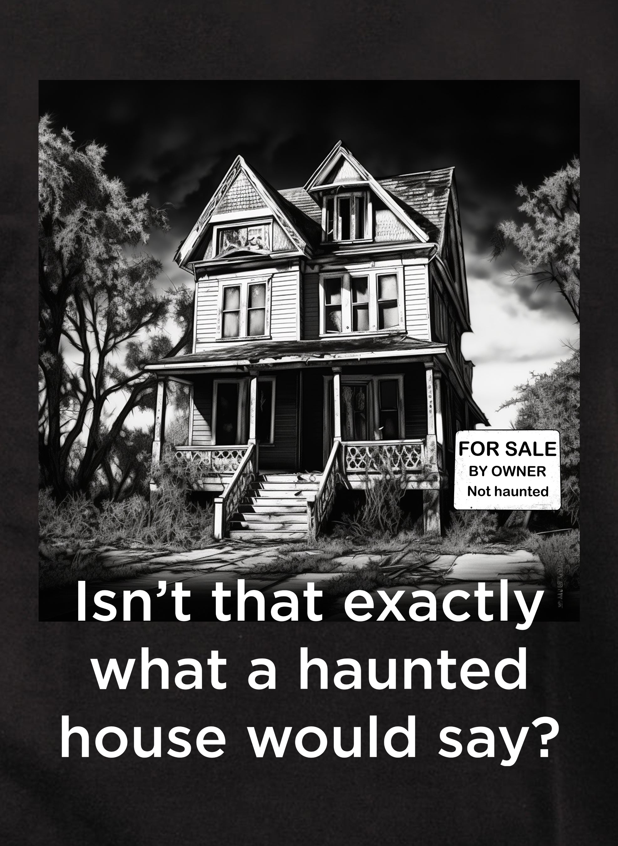 Isn’t that exactly what a haunted house would say? T-Shirt