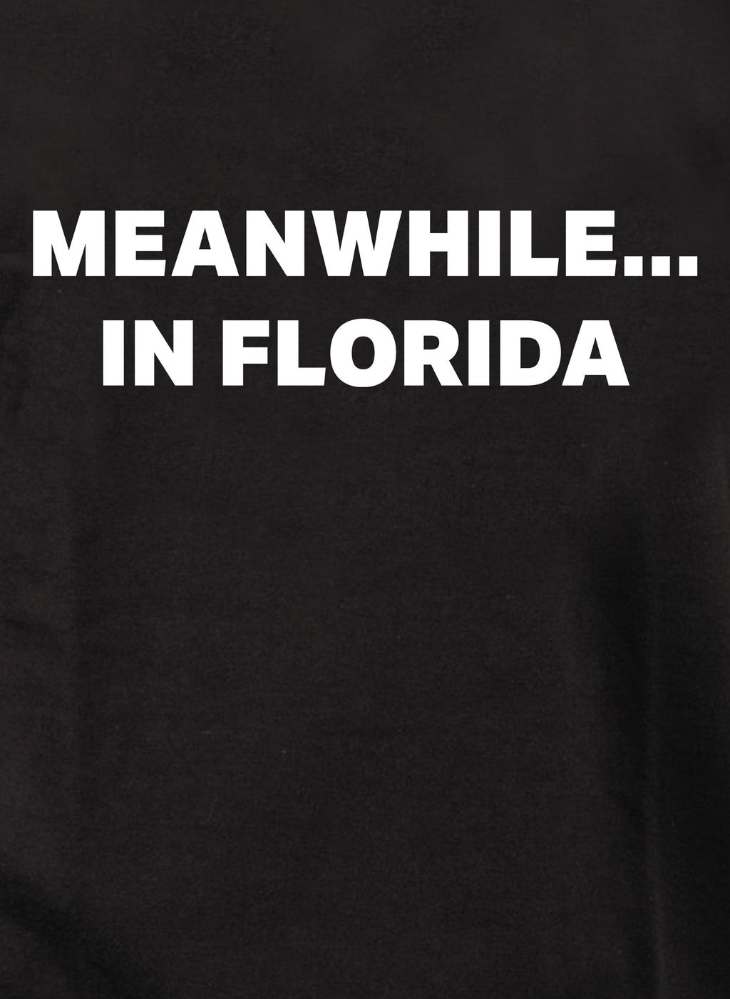 Meanwhile in Florida T-Shirt