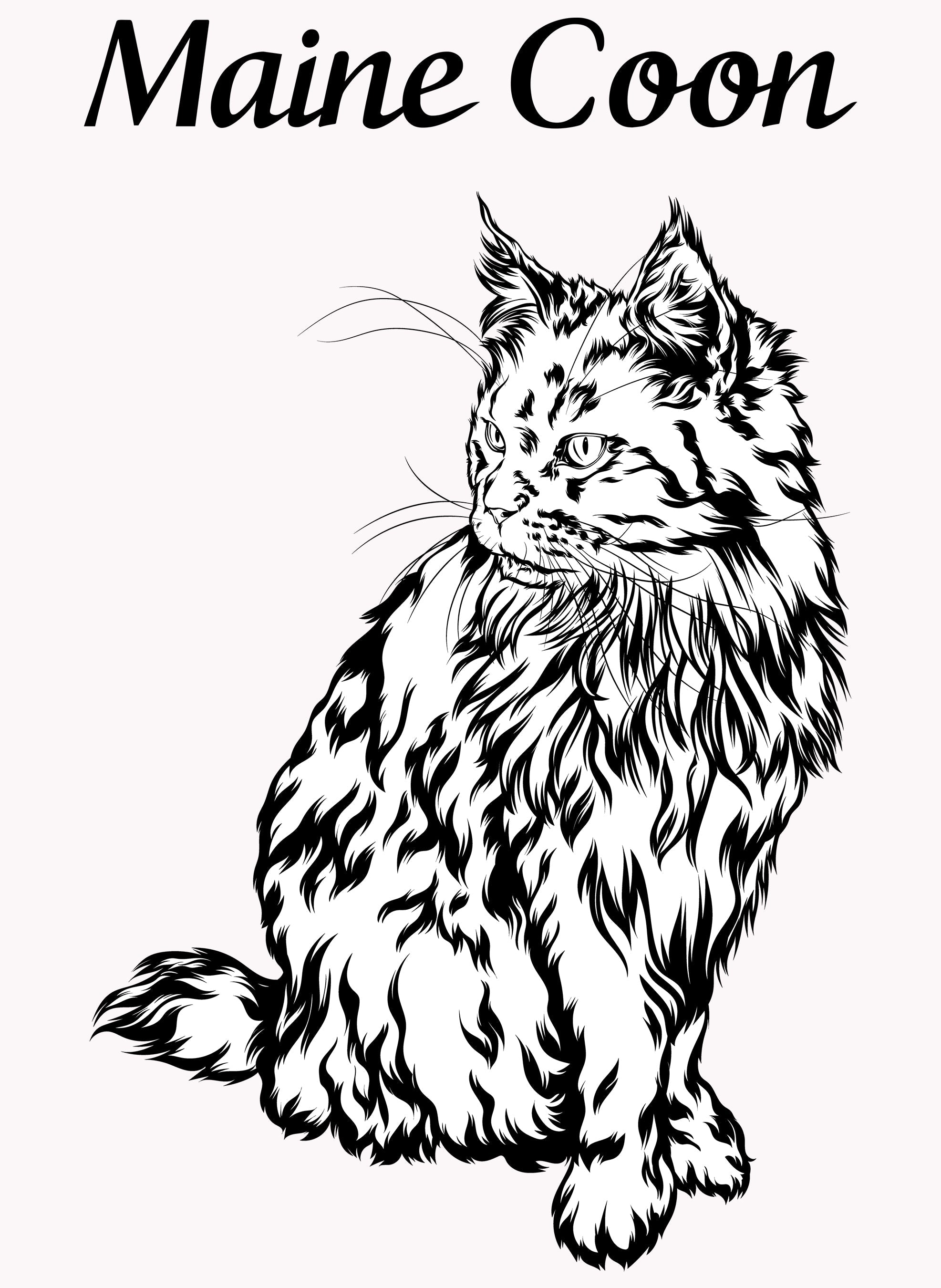 Maine Coon Cat T-Shirt