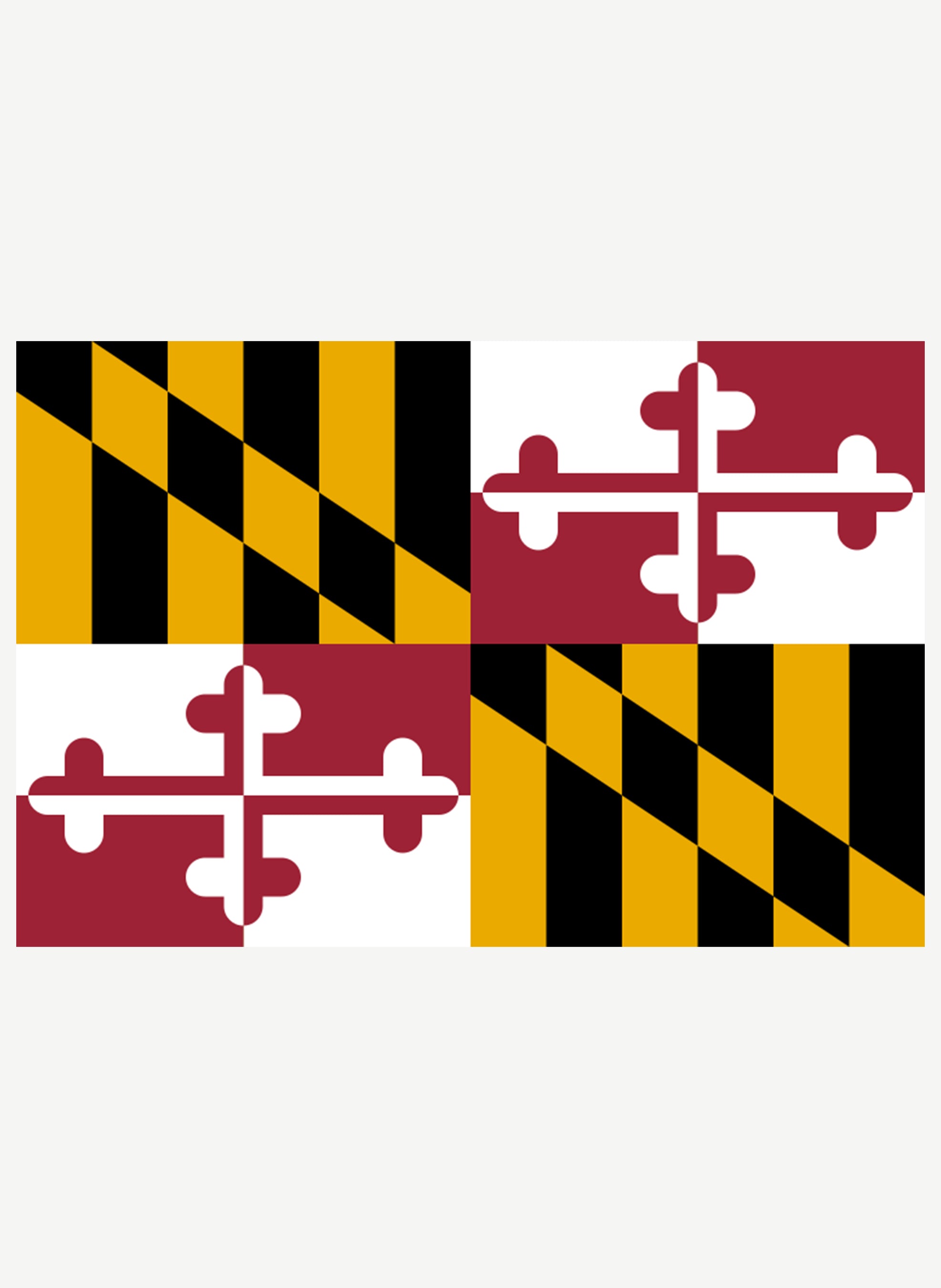 Maryland State Flag Kids T-Shirt