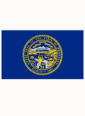 Nebraska State Flag Kids T-Shirt